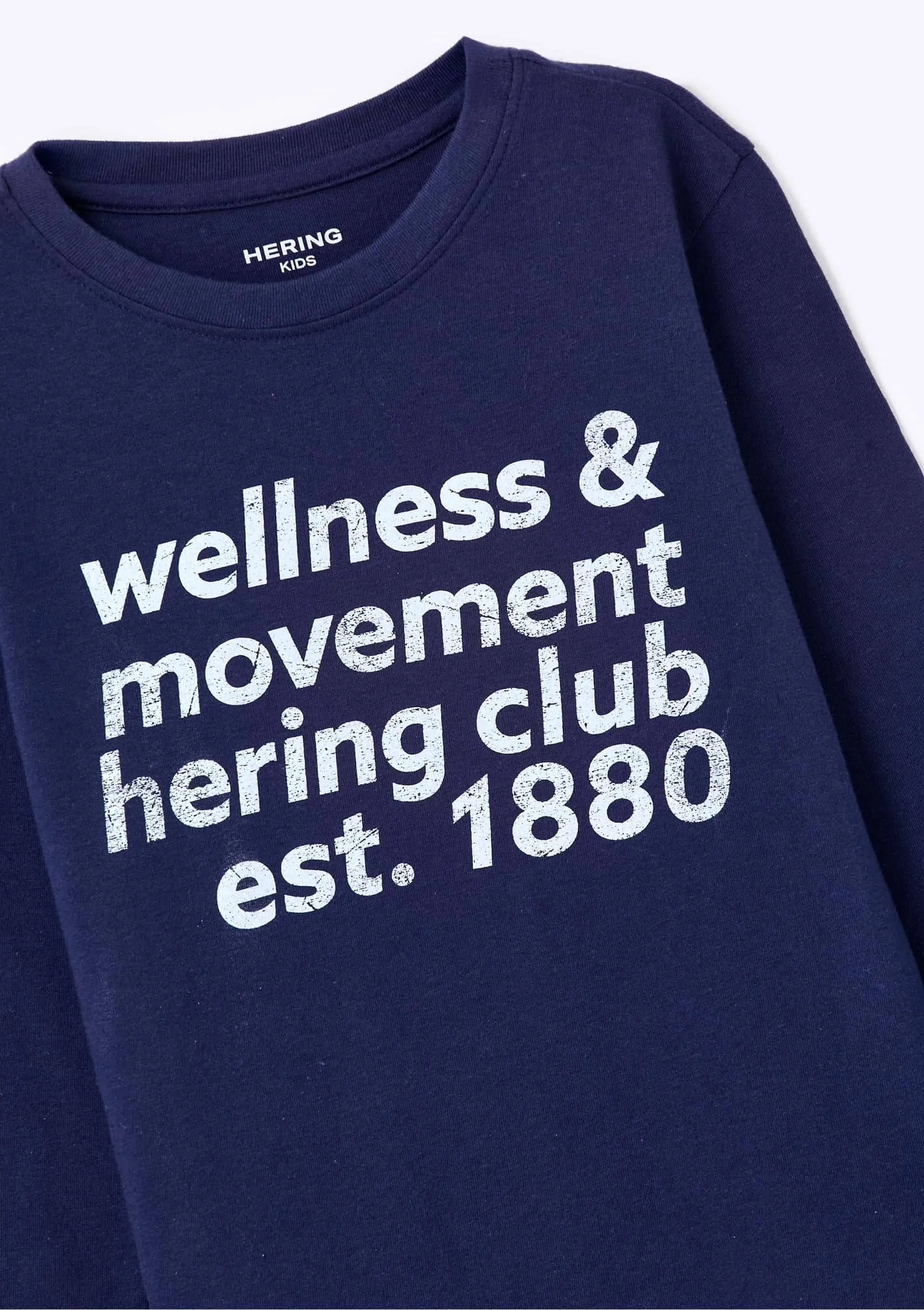 Camiseta Infantil Menino Manga Longa Com Estampa Hering Kids - Azul — foto 5