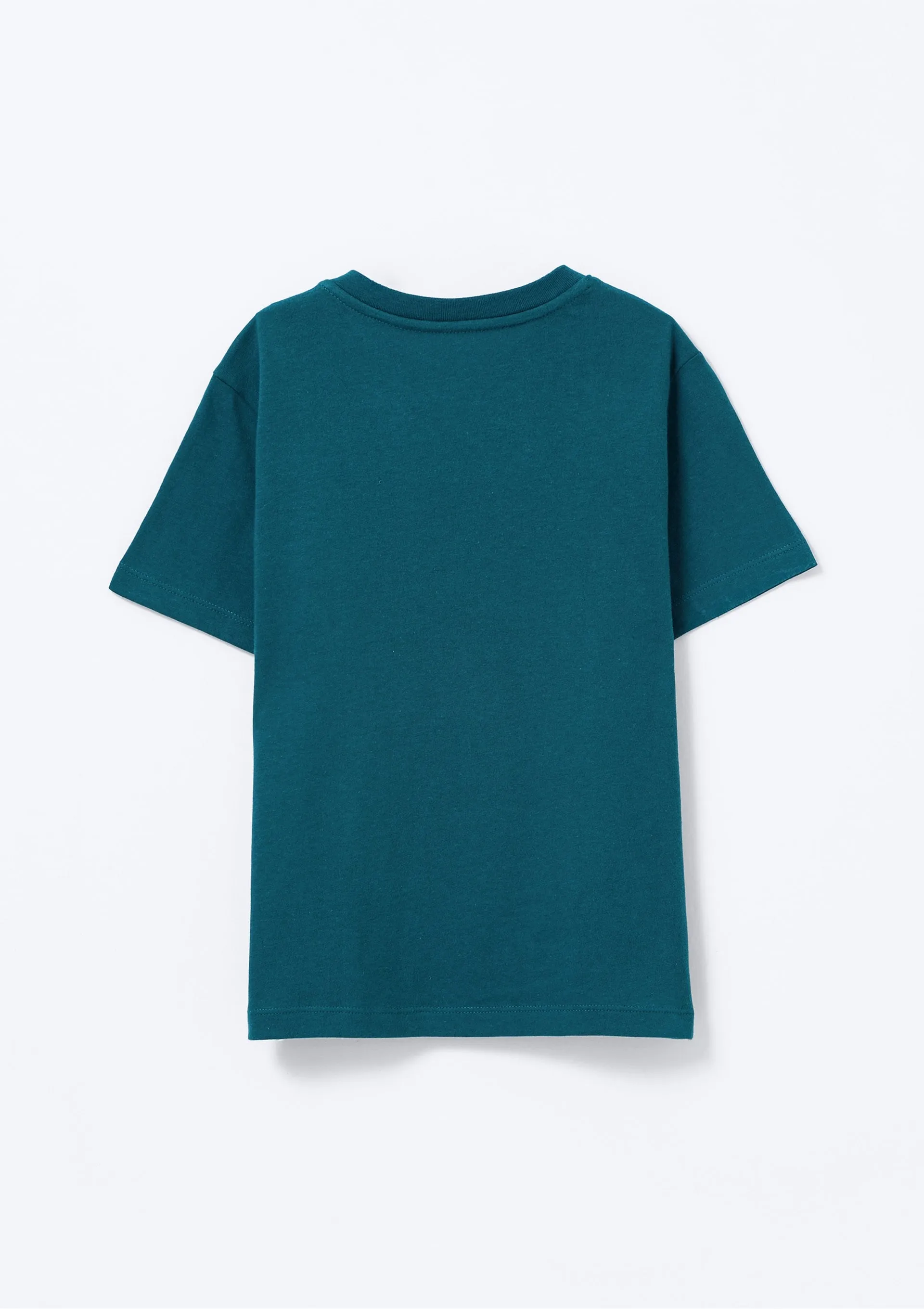 Camiseta Infantil Menino Manga Curta Com Estampa - Verde — foto 4