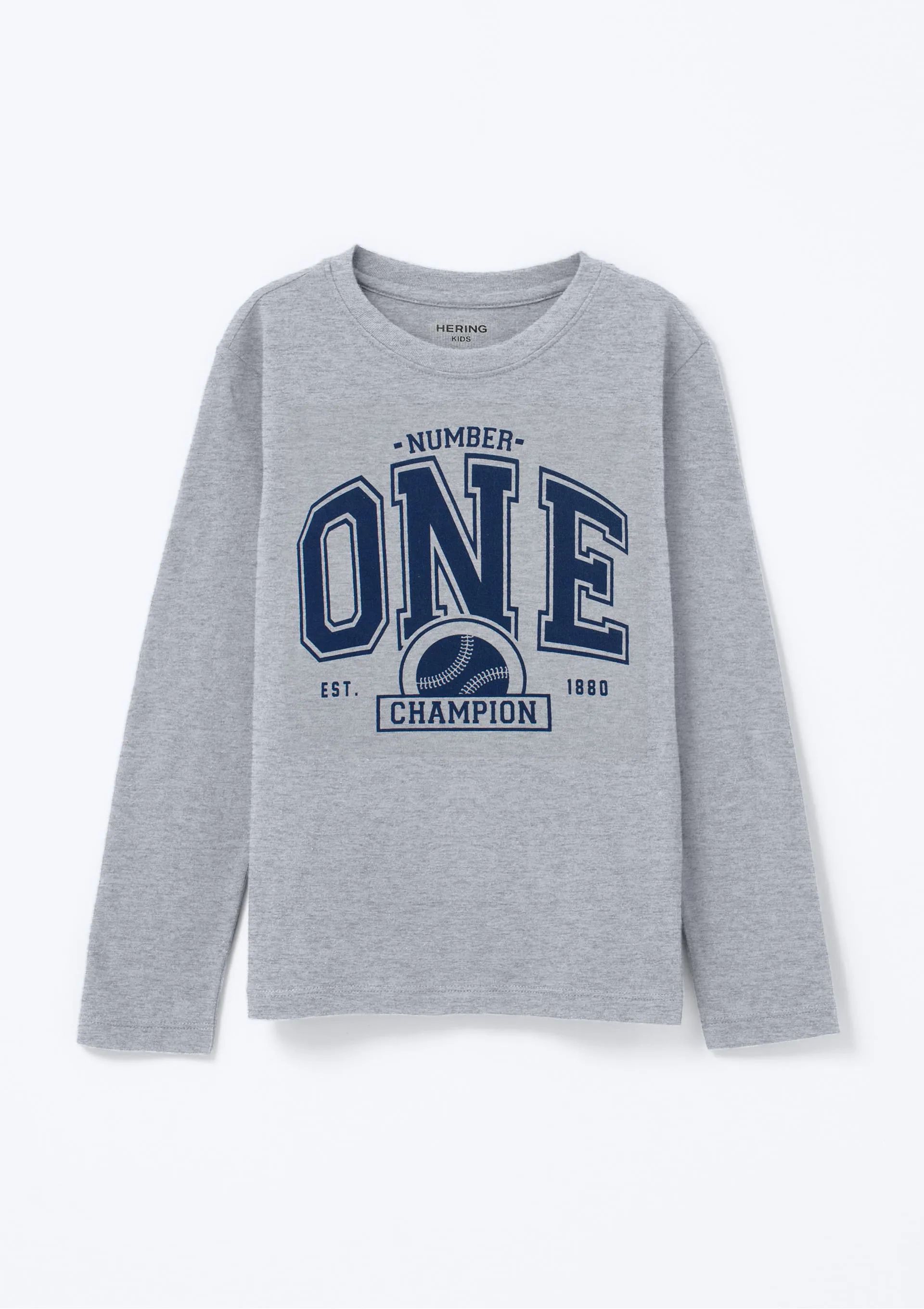 Camiseta Infantil Menino Manga Longa Com Estampa Hering Kids - Cinza — foto 4