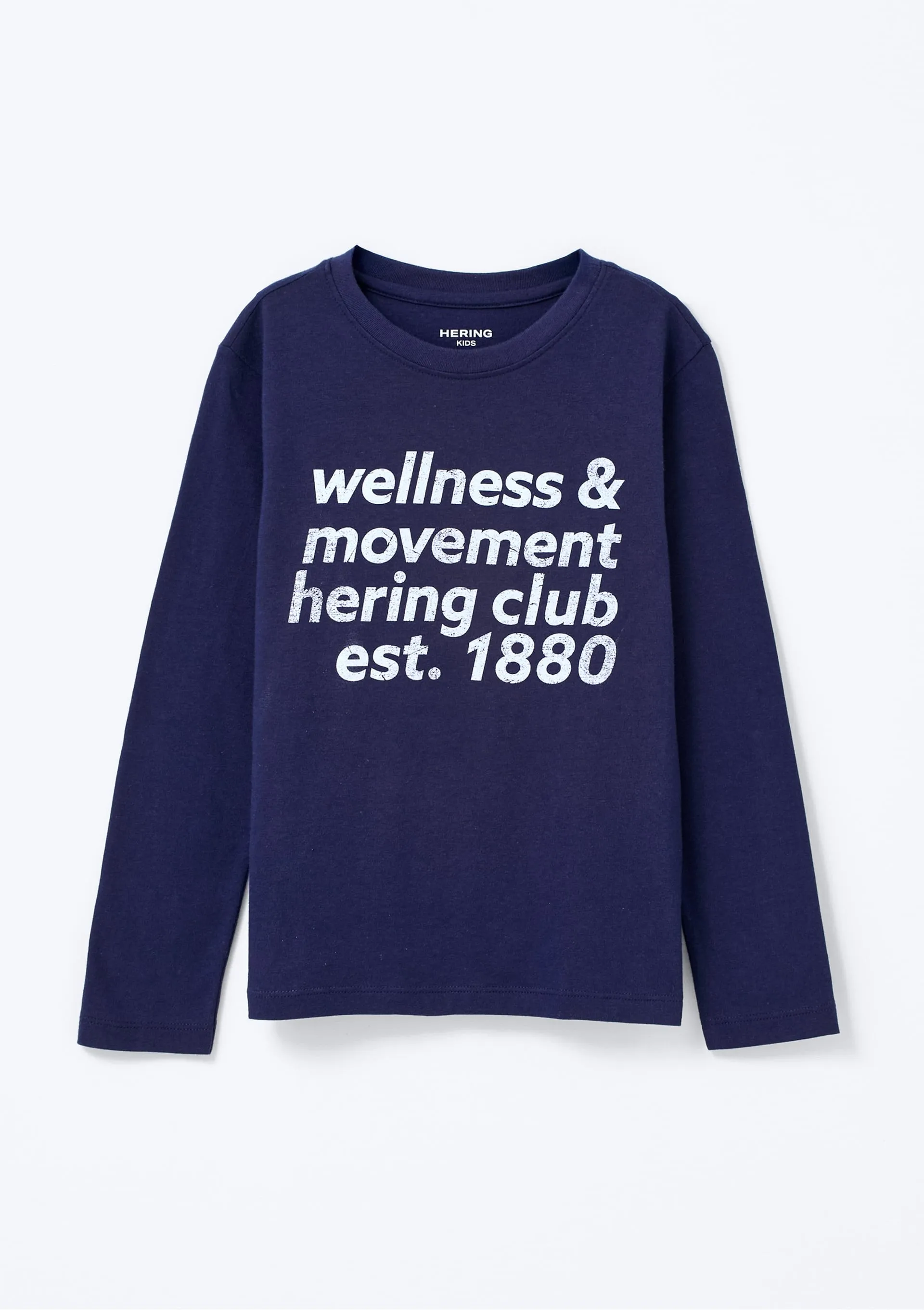 Camiseta Infantil Menino Manga Longa Com Estampa Hering Kids - Azul — foto 2