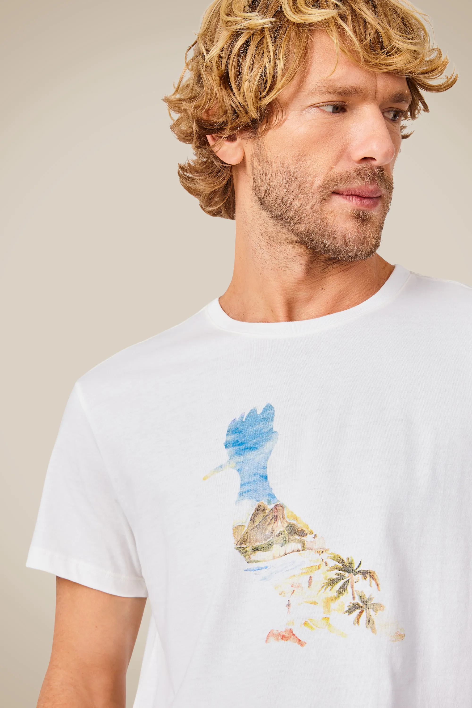 Camiseta Est Pica Pau Aquarela Ipa Rj